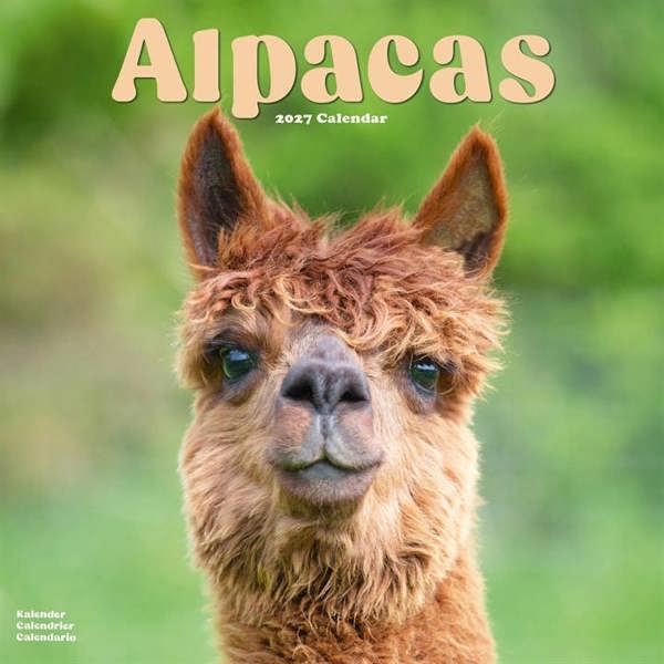 Alpacas Calendar 2027, Wall Calendars, Month To View, Animals, Gift