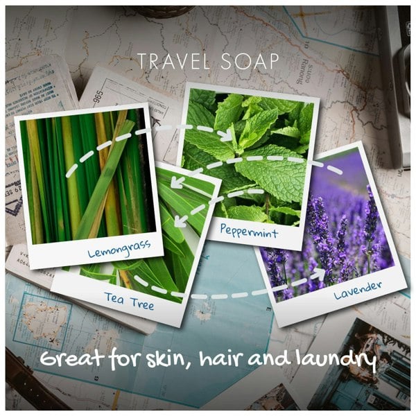Polaroid photographs showing snap-shots of lemongrass, lavender, tea tree and peppermint ingredients