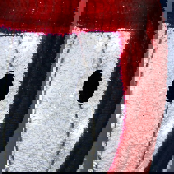 Monstershop Light-Up Snowman