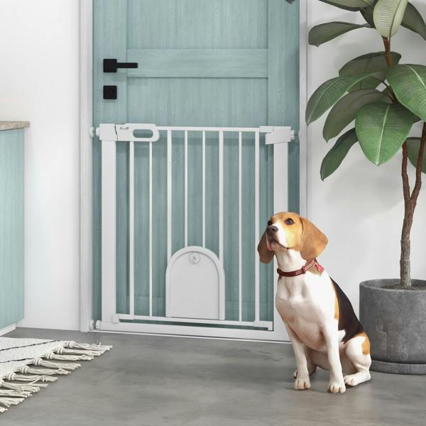 Pet Gate