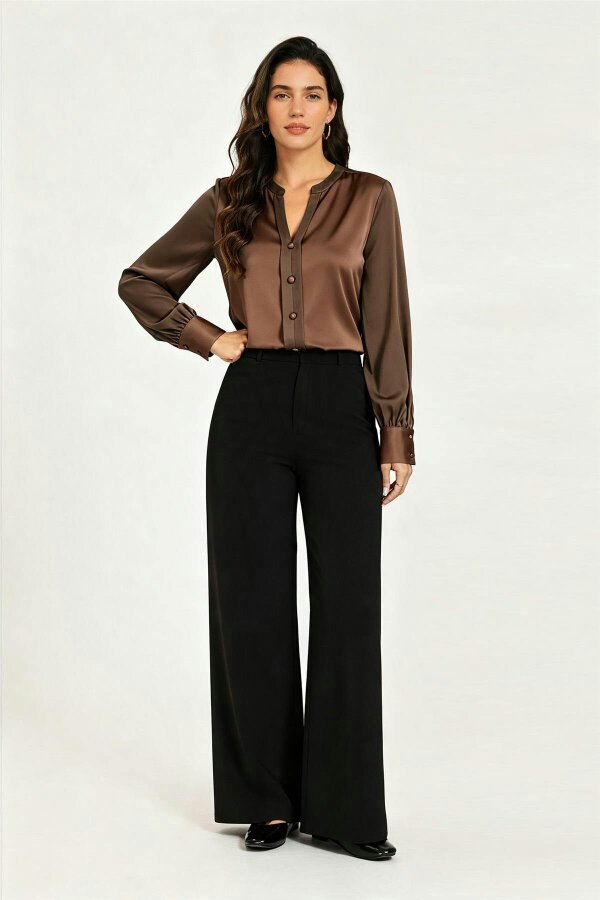 FS Collection Long Sheer Sleeve Satin Notch Neck Blouse Top In Brown