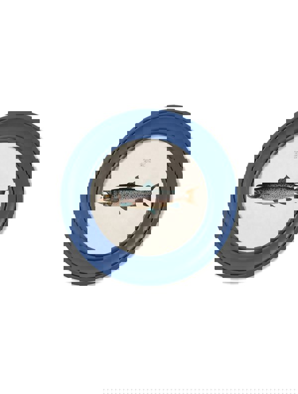 Exceptional Art c.1785 Studies of Salmon - Round Frame Blue
