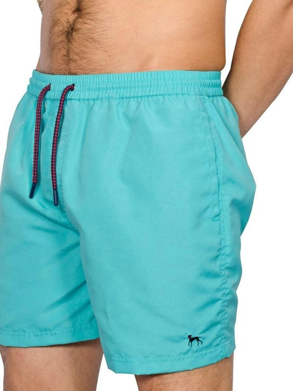 Bewley & Ritch Alden Swimshorts Aqua