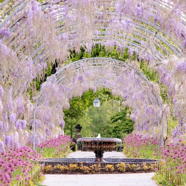 Virgin Experience Days Visit to a RHS Garden for Two