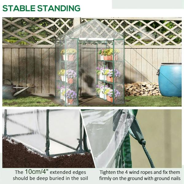 Walk-in greenhouse with clear cover and green frame, three-tier shelf stand with plants