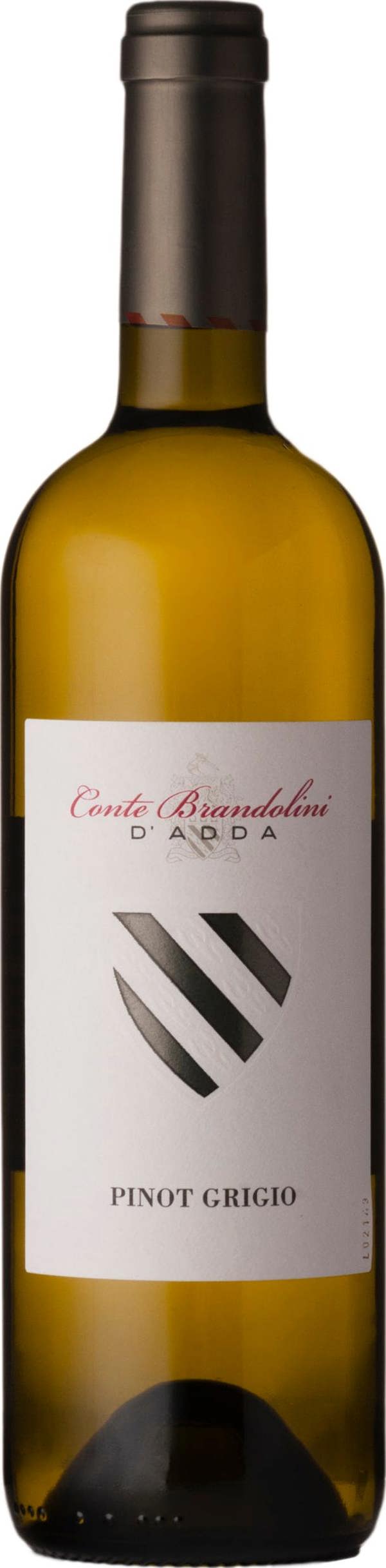 Brandolini Pinot Grigio DOC Friuli 2025 75cl