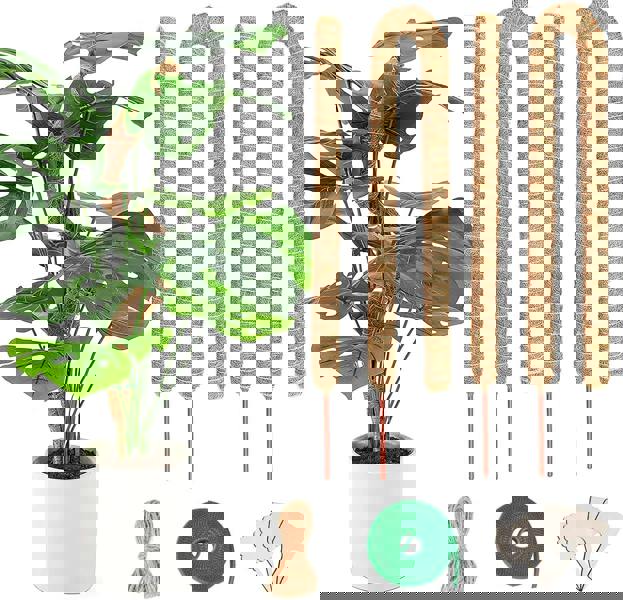 deAO Toys 4 Pack Monstera Climbing Support, 2 Pack 60cm & 2 Pack 120cm Planting Stick Coconut Plant Support