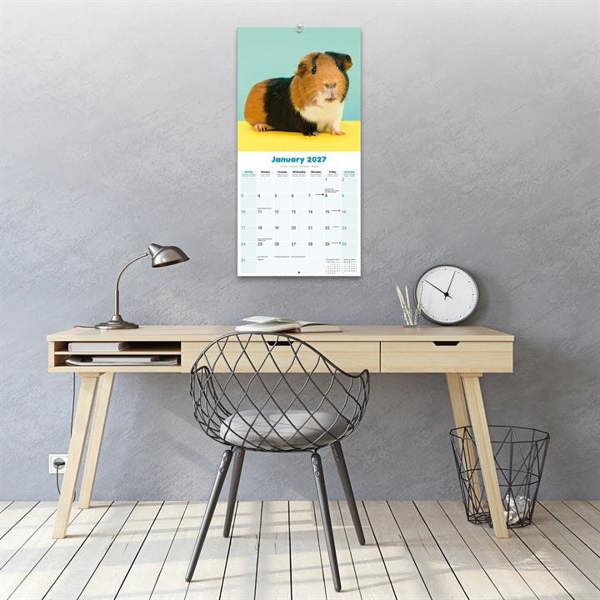 Guinea Pigs Calendar 2027, Wall Calendars, Month To View, Animals, Gift