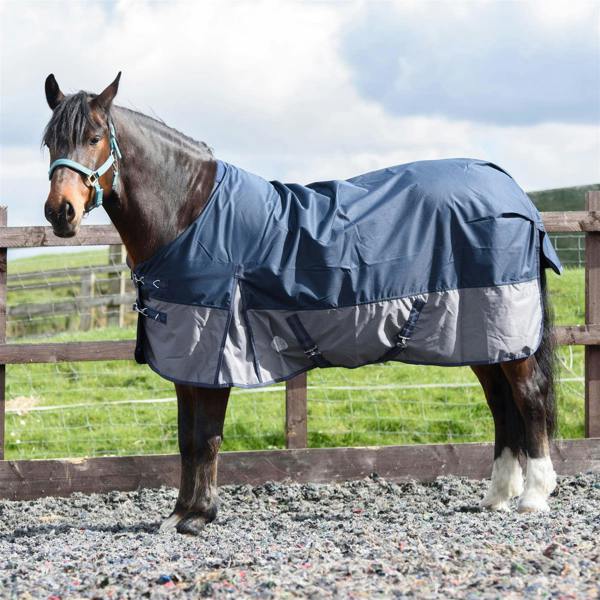 eQuitack 600D Outdoor Winter Lightweight Waterproof Horse Turnout Rug 0g No Fill Regular Neck Nylon Lined Double Buckle Navy/Grey