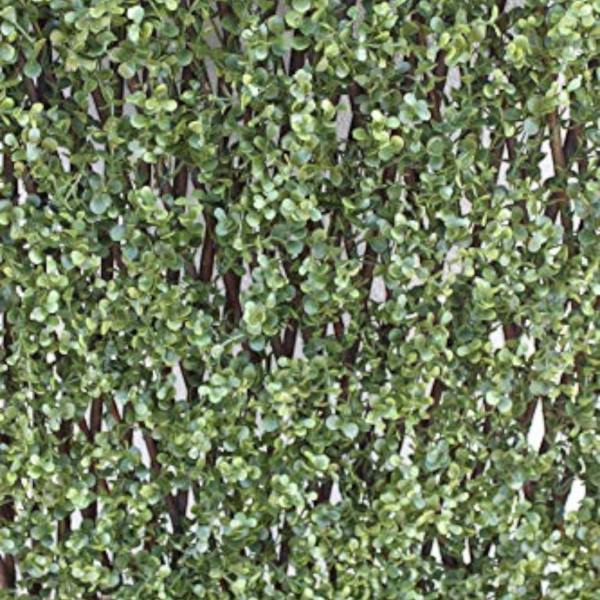 The Garden Marketplace Expanding Willow Garden Trellis with Buxus Leaves, 2m x 1m Extendable Privacy Screen Panel, Decorative Greenery Fence Cover