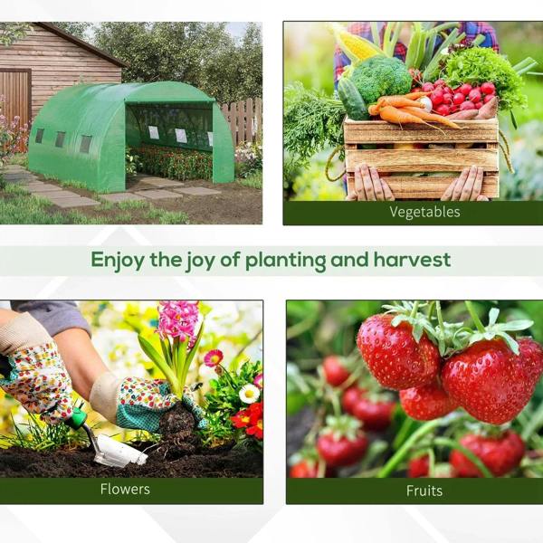 Green tunnel greenhouse tent with open roll-up door and mesh window panels
