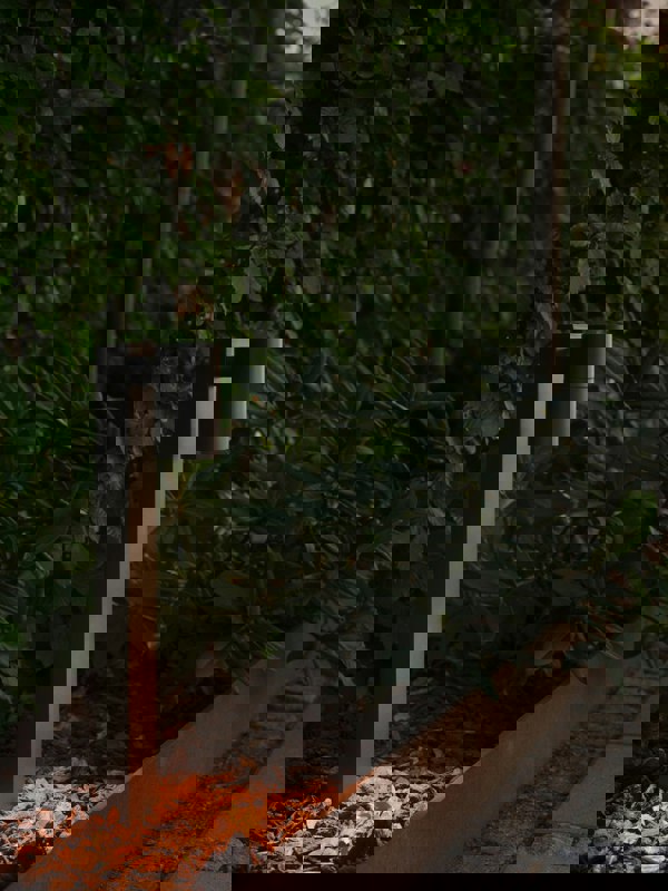 Nordlux Tin 50 | Garden light | Black