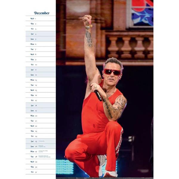 Robbie Williams A3 Calendar 2027, Wall Calendars, Month To View, Entertainment, Gift