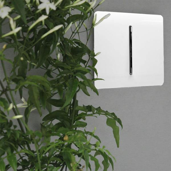 Trendi Switch 1 Gang Intermediate Rocker Light Switch in Ice White
