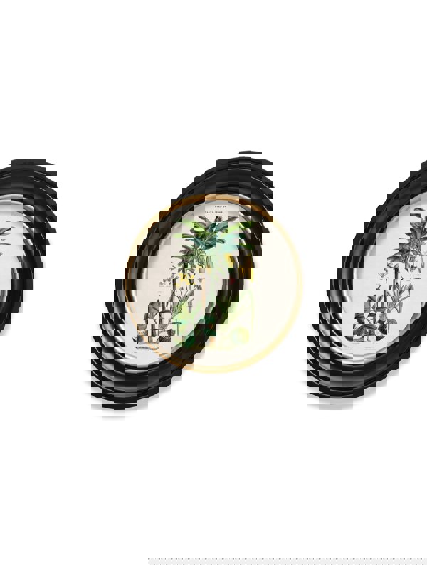 Exceptional Art c.1877 Tropical Plants Used as Food and Clothing - Round Frame