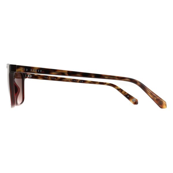 Ted Baker Sunglasses TB1529 Farley 249 Tortoise Brown Gradient