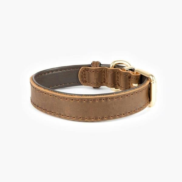 EzyDog Oxford Leather Classic Dog Collar in Brown