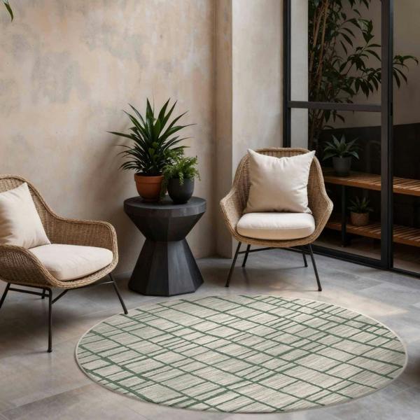 Living room with wicker chairs, round rug, and plants
