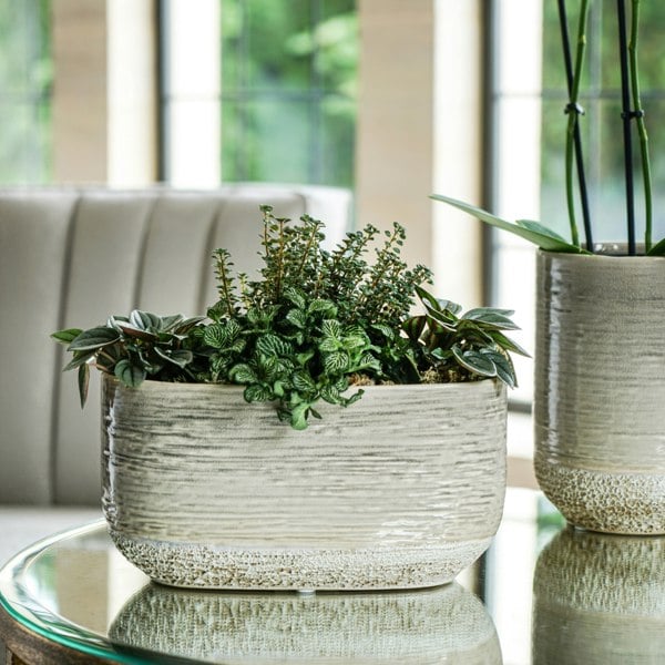 Ivyline Vasto Planter