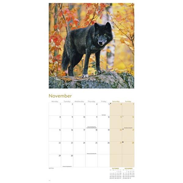 Wolves Calendar 2027, Wall Calendars, Month To View, Animals, Gift