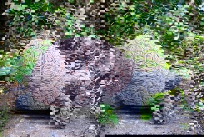 Small Stone Cast Tortoise Garden Ornament