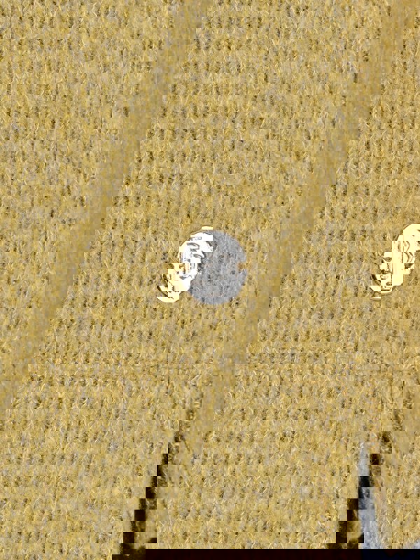 PennyPlain Crew Neck Long Sleeve Top - Pear