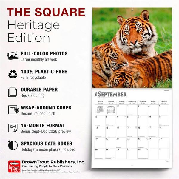 Tigers Calendar 2027, Wall Calendars, Month To View, Animals, Gift