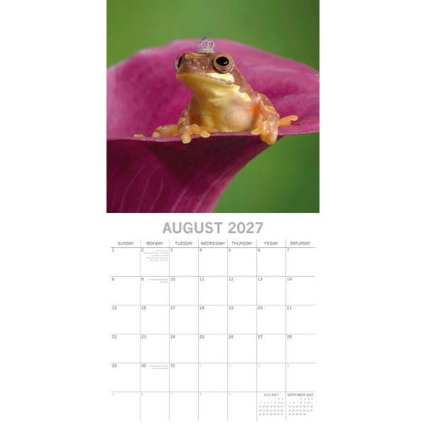 Fabulous Frogs Calendar 2027, Wall Calendars, Month To View, Humour, Gift