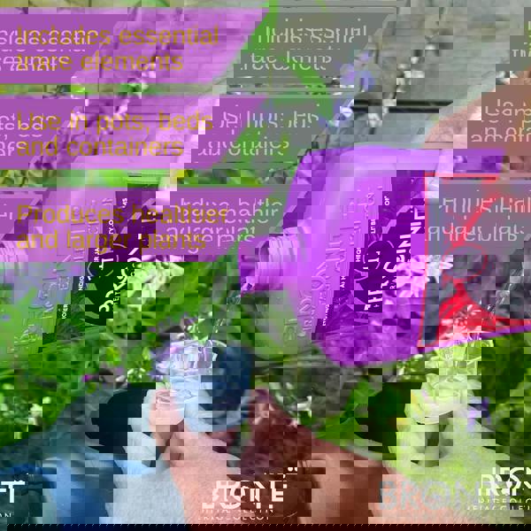 Bronte Heritage Organic Rose & Shrub Food 1L – Seaweed-enriched, pet-friendly fertiliser. Strengthens blooms & plant health. Makes 300L