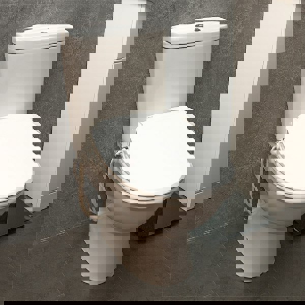 Aidapt Toilet Seat with Bidet Cleaning featuring a Warm Air Dryer Night Light and Heated Seat Round