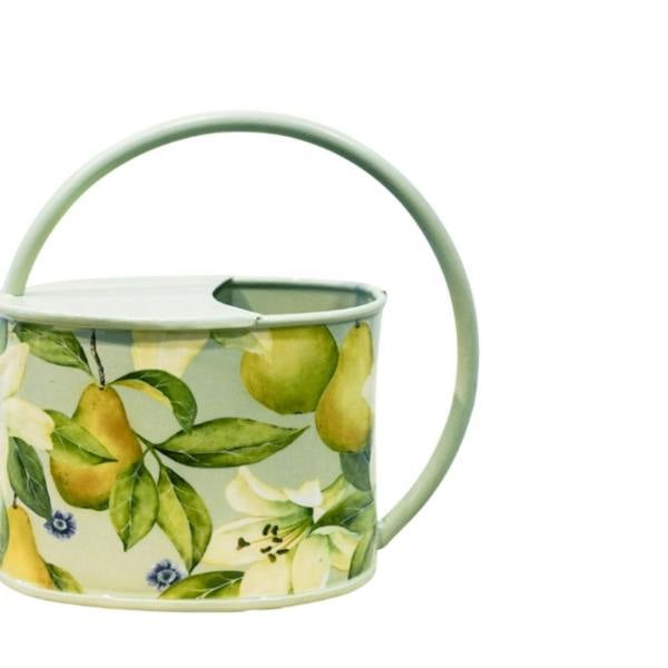 Ivyline Maisie Vintage Metal Watering Can