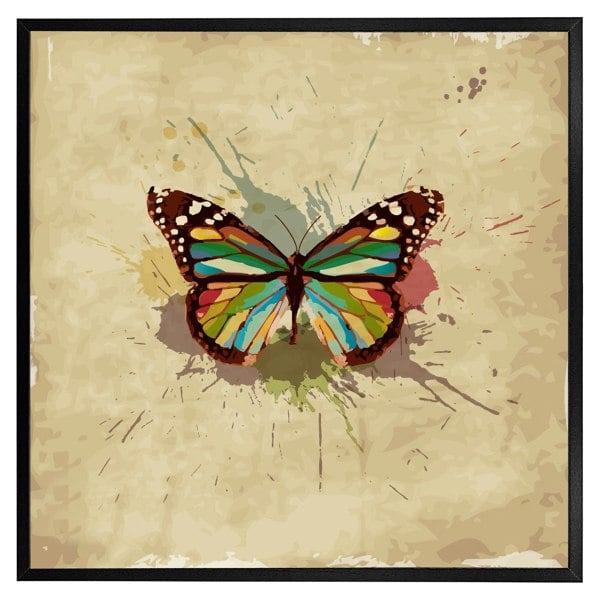 Benjamin Tate Design Butterfly & paint splats (Picture Frame)