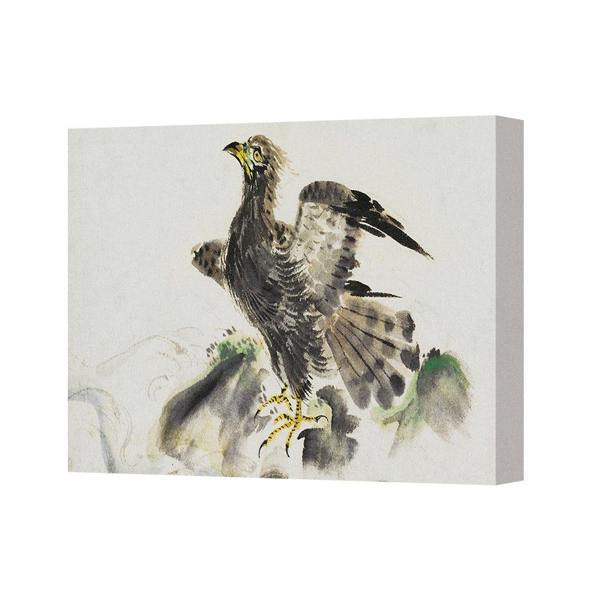 Benjamin Tate Design Hawk Canvas Art Print Bird Illustration on Rock Wall Decor