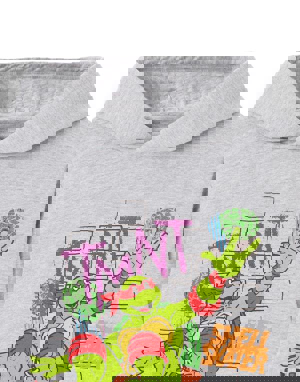 Teenage Mutant Ninja Turtles Boys Grey Shell Skater Hoodie