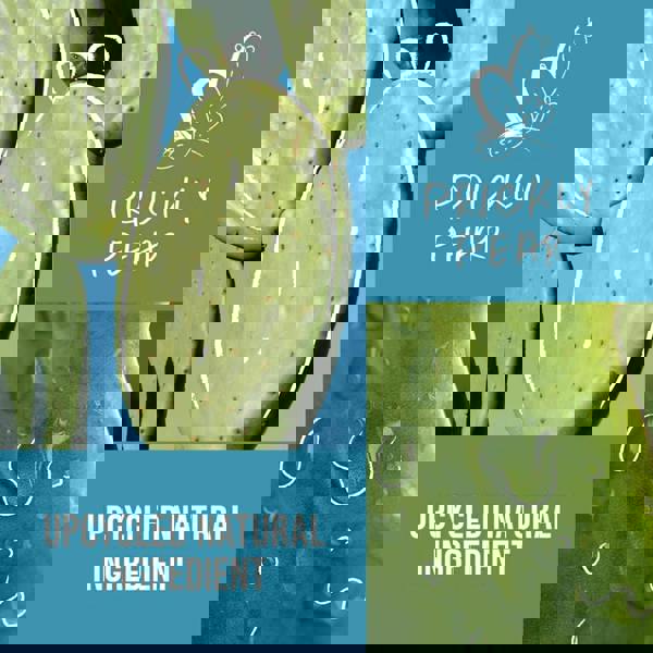 KMS Moist Repair Intense Restore Treatment Duo Duo