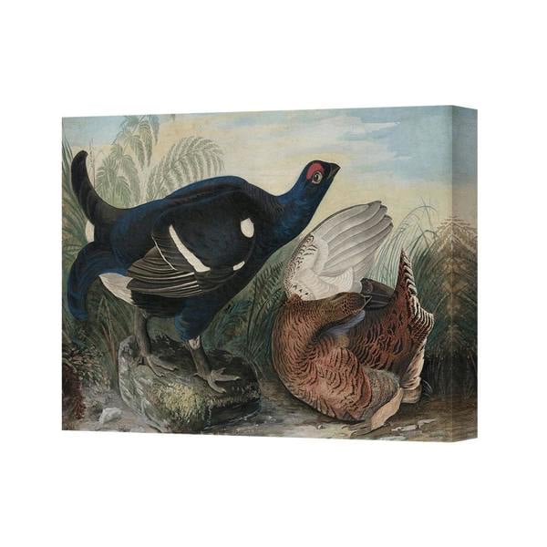 Benjamin Tate Design Colorful Duck Canvas Wall Art Print 3060 Wildlife Artwork