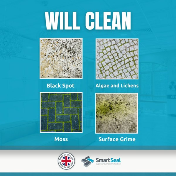 Smartseal Drive Cleaner Xtreme Removal of Moss, Algae, Black Spots & Grime - 10 Litres (2 x 5L)