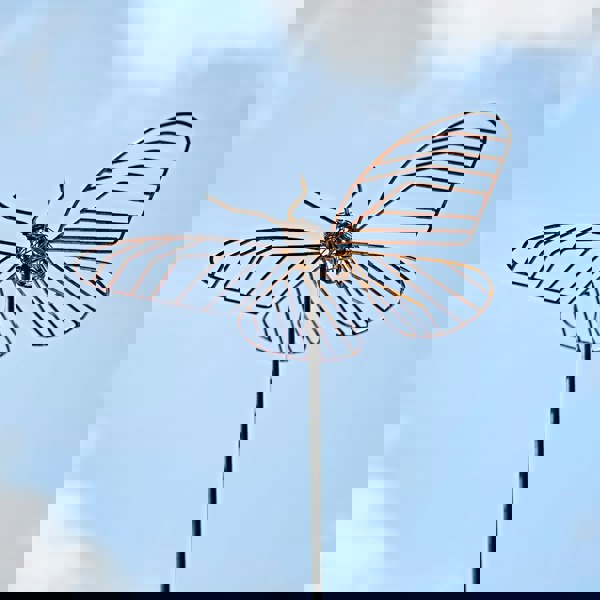 a Pepem Metal Butterfly Garden Stake Decoration with a blue sky behind it.