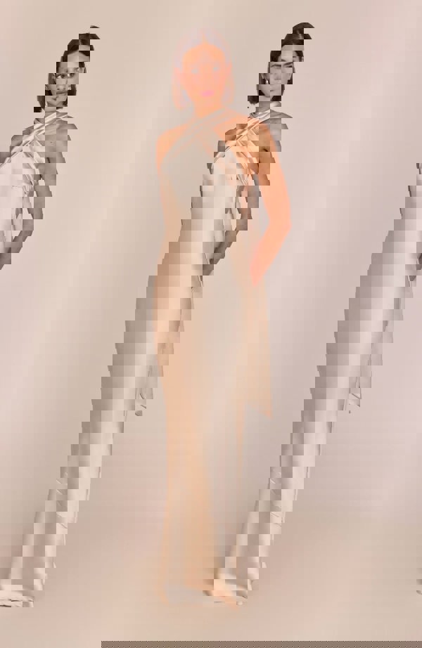 Rewritten London Roma Dress in Champagne Satin