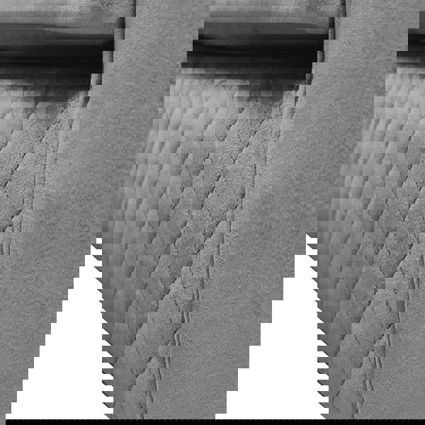 Furnishings For Less Victoria Plush Velvet 2 Seater Sofa