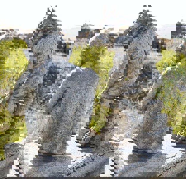 Guardian Gargoyle and Devil Ornaments