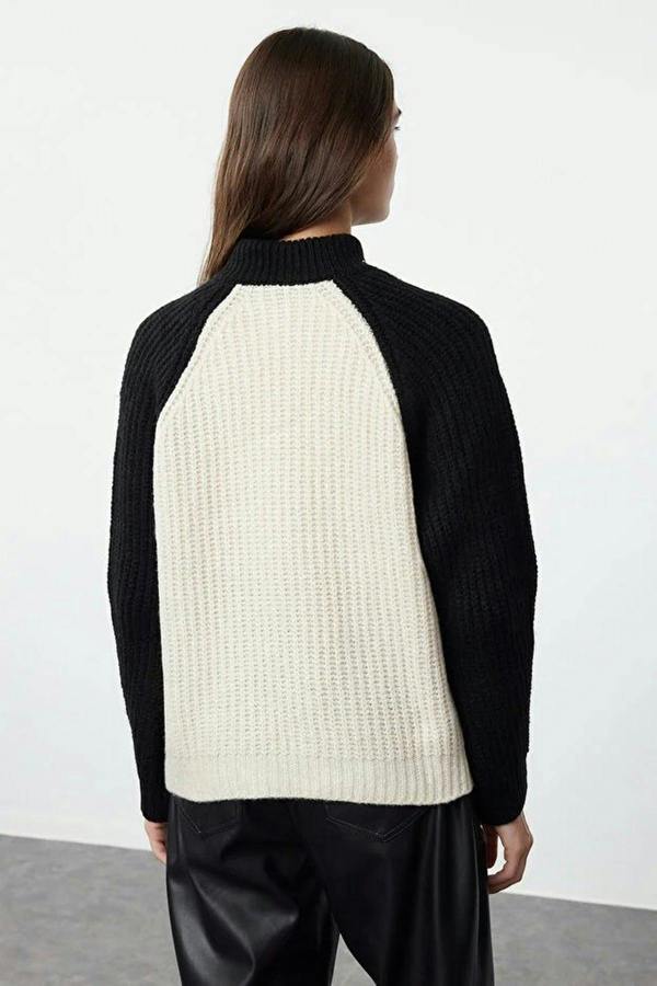 WOVCOR Color Block Soft-Textured Knit Sweater