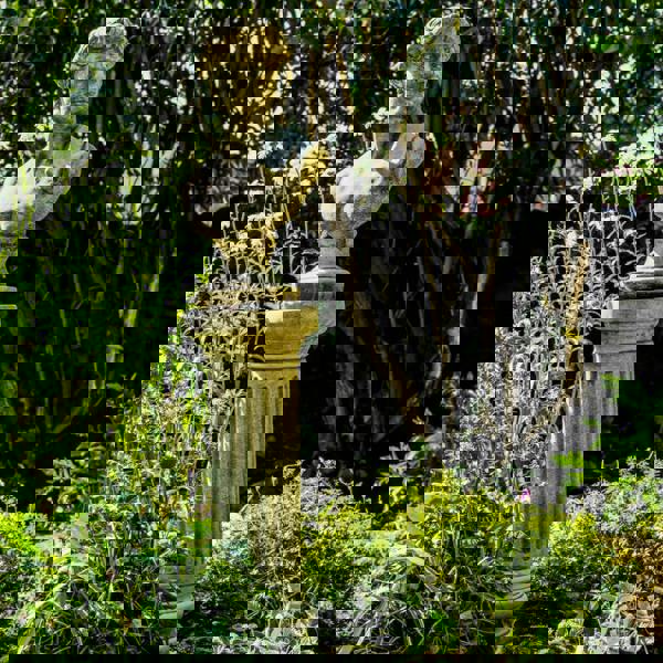 Classical David Bust on Tall Column