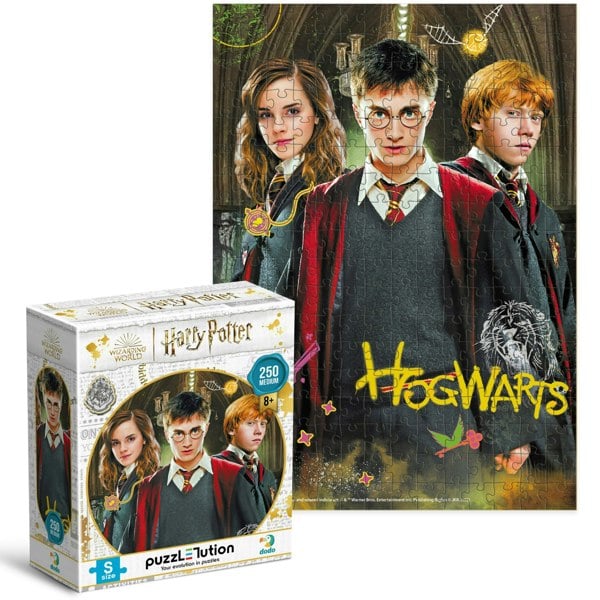 Dodo Harry Potter and Friends Puzzle Medium-S 250 Pieces