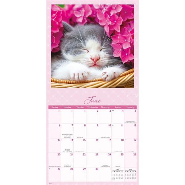 Naptime Cats Calendar 2027, Wall Calendars, Month To View, Cats, Gift