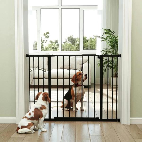 Black pet safety gate barrier at doorway with two dogs behind the vertical bars