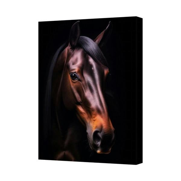 Benjamin Tate Design Horse Portrait On Canvas Wall Art Black Background Modern Print