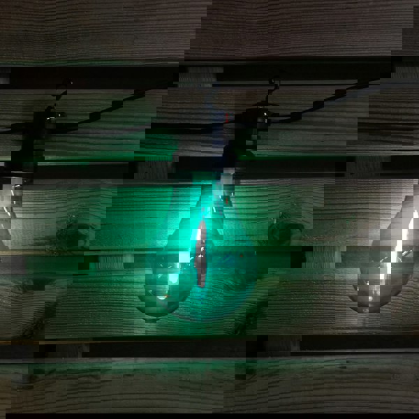 Samuel Alexander 4.5m Set of 10 Connectable Festoon Bulb Lights in Multi-Coloured with Timer Function