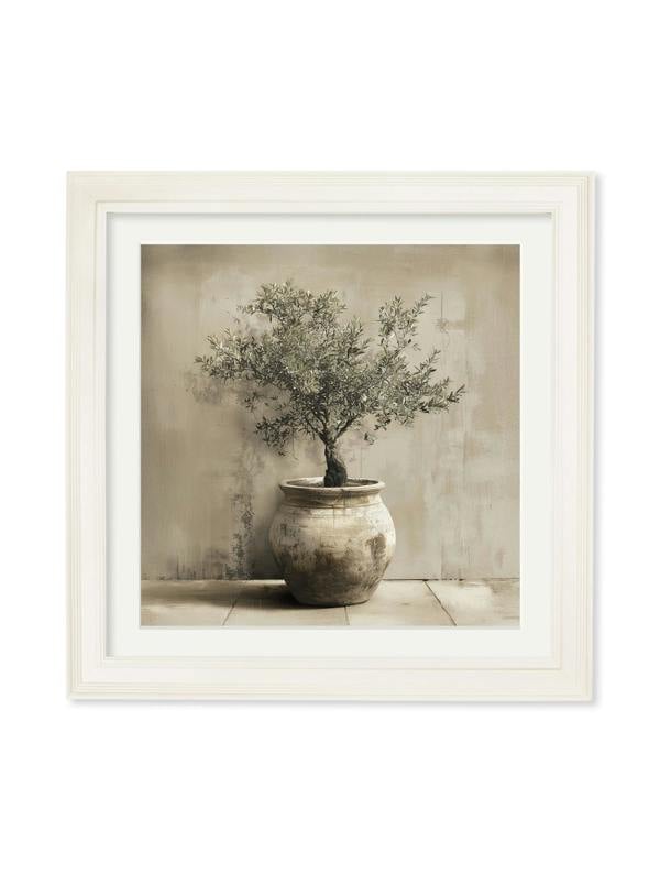 Exceptional Art The Olive Tree - Cream Hurstwood square frame