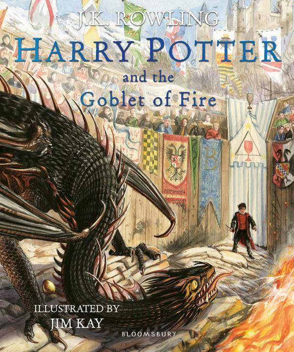 Harry Potter Illustrated 4 Books PAPERBACK (Harry Potter and The Chamber of Secrets, The Philosophers Stone, The Prisoner of Azkaban, Goblet of Fire)